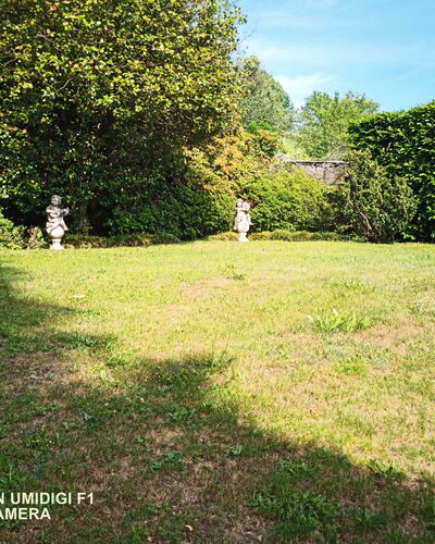 Bellavista Dimora Storica Vista Lago: Herbe, Arbuste, Jardin, Lot Terre, Pelouse, Arrière-Cour, Ombre, Cour, Aménagement Paysager