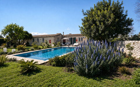 Villa Il Carato, Private Pool, Modica: Jardin, Biens, Aménagement Paysager, Chalet, Hacienda, Arrière-Cour, Pot De Fleur, Cour, Ferme, Piscine