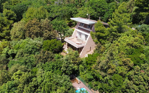 Villa Sole - Exclusive Villa al Conero con Piscina: Végétation, Domicile, Biens, Chalet, Jungle, Eco Hôtel, Villa, À Feuilles Persistantes, Manoir, Balcon