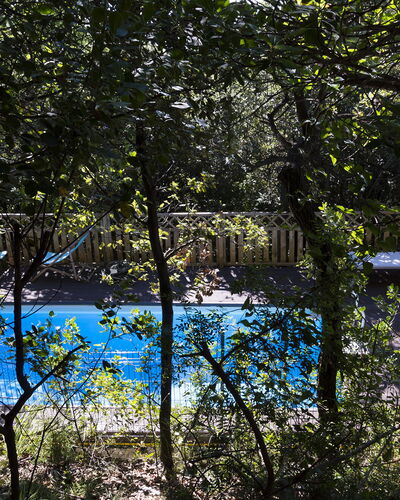 Villa Sole - Exclusive Villa al Conero con Piscina: Bleu, La Nature, Feuille, Branche, Piscine, Ombre, Lumière Du Soleil, Brindille, Jardin, Arrière-Cour