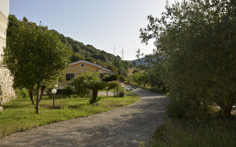 Villa del Monte: Végétation, Paysage, Arbuste, Zone Rurale, Allée, Village De Montagne, Piste, Passerelle, Chemin