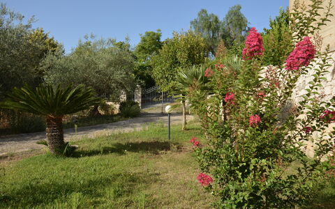 Villa del Monte: Fleur, Arbuste, Jardin, Rose, Printemps, Plante À Fleurs, Aménagement Paysager, Jardin Botanique, Cour