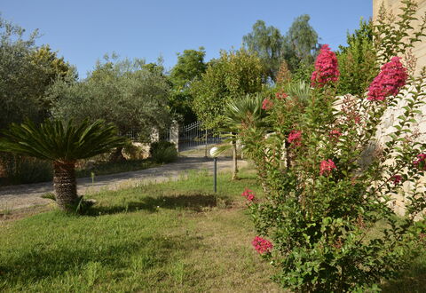 Villa del Monte: Fleur, Arbuste, Jardin, Rose, Printemps, Plante À Fleurs, Aménagement Paysager, Jardin Botanique, Cour