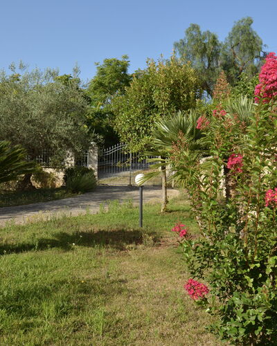 Villa del Monte: Fleur, Arbuste, Jardin, Rose, Printemps, Plante À Fleurs, Aménagement Paysager, Jardin Botanique, Cour