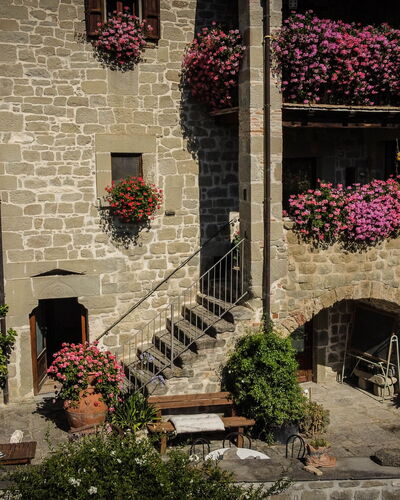 Agriturismo Arcera: Pot De Fleur, Plante D'Appartement, Floristique, Jardin, Cour, Cour, Art Floral, Hacienda