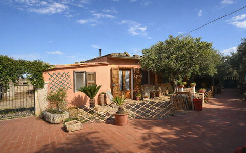 Ranch Salomonello: Pot De Fleur, Arbuste, Porte, Plante D'Appartement, Hacienda, Ombre, Cour, Aménagement Paysager, Arrière-Cour