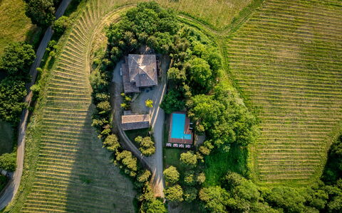 Maison Badia a Passignano: Plantation, Eco Hôtel, Jardin, Biens, Agriculture, Aménagement Paysager, Vue Du Ciel, Arrière-Cour, Villa