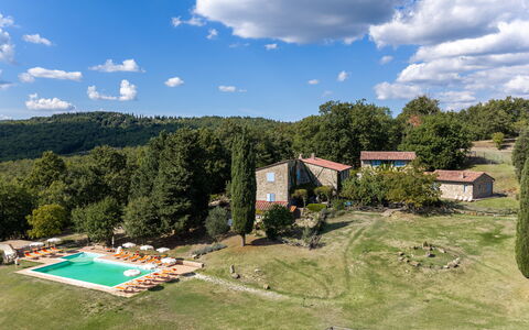 Casa Stella Serena, Casole D'Elsa, Pool: Arbre, Paysage, Prairie, Plaine, Lot Terre, Zone Rurale, Biens, Prairie, Chalet, Pelouse