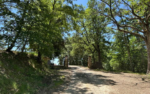 Casa Stella Serena, Casole D'Elsa, Pool: Branche, Feuille, Arbre, Environnement Naturel, La Nature, Bois, Végétation, Paysage Naturel, Route, Piste