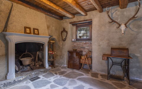 Valtellina 646: L'Eau, Arbre, Piscine, Recours, Jardin, Eco Hôtel, Ombre, Aménagement Paysager, Tropiques