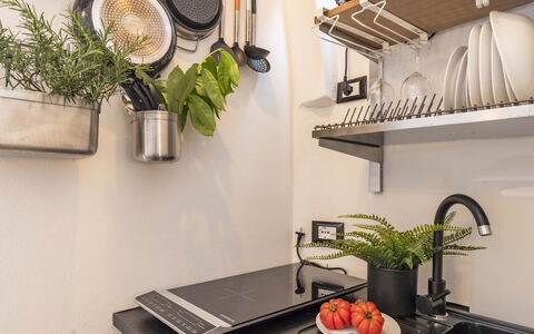 Maison D'Alice: Vaisselle, Cuisine, Pot De Fleur, Appareil De Cuisine, Plante D'Appartement, Comptoir, Rayonnage, Électroménager, Étagère