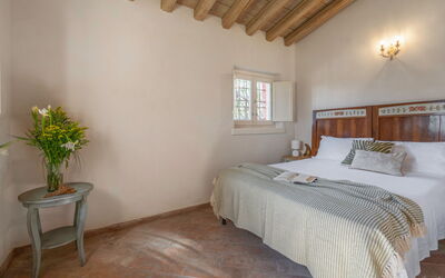 Logement:&nbsp;Passiflora