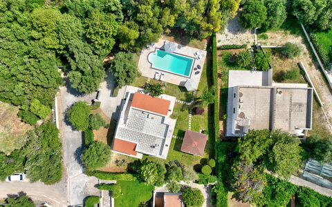 Villa Margherita: Piscine, Arbre, Zone Résidentielle, Vue Du Ciel, Paysage, Photographie Aérienne, Maison, Domicile, Biens, Design Urbain