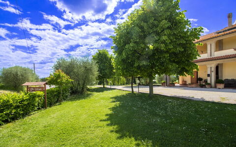 Gli Ulivi: Bleu, Arbre, Herbe, Arbuste, Lot Terre, Jardin, Pelouse, Printemps, Ombre, Prairie