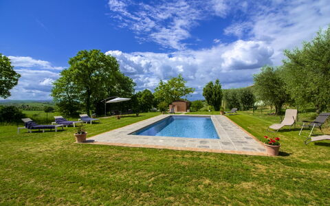 Gli Ulivi: Jardin, Piscine, Biens, Pelouse, Aménagement Paysager, Ombre, Ferme, Cour, Parc, Hacienda