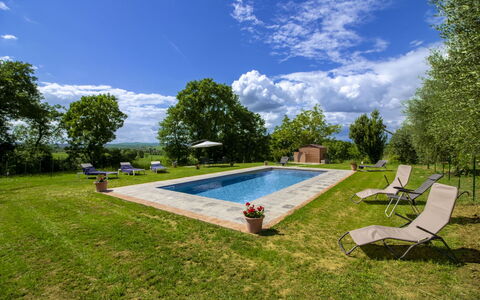Gli Ulivi: Jardin, Pelouse, Piscine, Aménagement Paysager, Biens, Parc, Cour, Arrière-Cour, Ferme, Hacienda