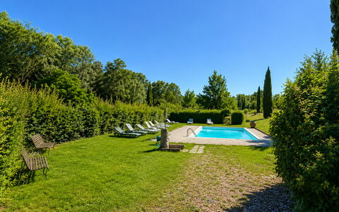 Civico108 Vacation Home, Pool, Castellina in Chian: Arbuste, Piscine, Jardin, Pelouse, Couverture De Sol, Aménagement Paysager, Haie, Mobilier De Jardin, Ombre, Biens