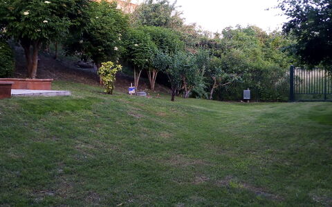 Casale Oleandro Marino: Herbe, Feuille, Paysage, Jardin, Pelouse, Lot Terre, Couverture De Sol, Printemps, Cour