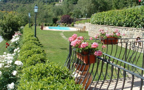 Casa Ivan: Jardin, Fleur, Plante, Arbuste, Cour, Botanique, Herbe, Aménagement Paysager, Printemps, Paysage