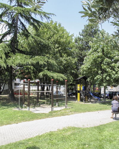 Casa Elena: Arbre, Espace Public, Ombre, Établissements Humains, Parc, Pelouse, Jardin, Extérieur Banc, Banc, Cour