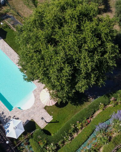 Casa dei Nonni: Piscine, Jardin, Loisir, Recours, Pelouse, Biens, Arrière-Cour, Aménagement Paysager, Ombre, Cour