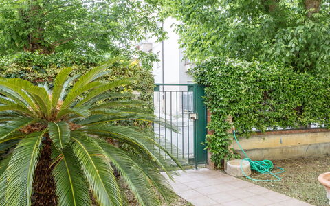 Corte Marina Apartment: Vert, Feuille, Végétation, Arbuste, Suppression Des Plantes Ligneuses, Jardin, Ombre, Aménagement Paysager, À Feuilles Persistantes