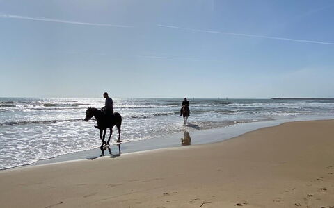 Appartamento Tramonto sul Mare: Plage, Cheval, Mer, Côte, Des Loisirs, Océan, Rive, Cotiers Et Relief Océaniques, Le Sable