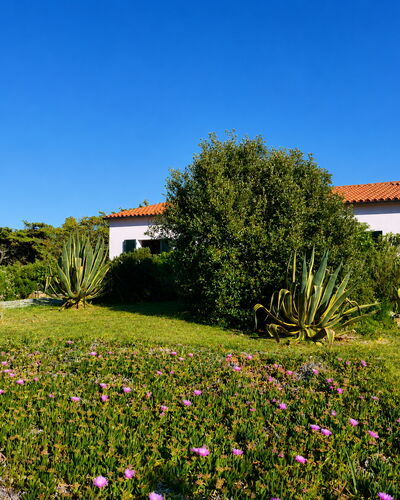 Villa Vignola: Fleur, Végétation, Arbuste, Jardin, Communauté Des Plantes, Couverture De Sol, Prairie, Aménagement Paysager, Plante Herbacée