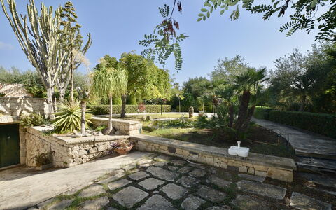 Villa Lina: Arbre, Végétation, Arbuste, Jardin, Dalle, Passerelle, Suppression Des Plantes Ligneuses, Aménagement Paysager, Ombre, Jardin Botanique