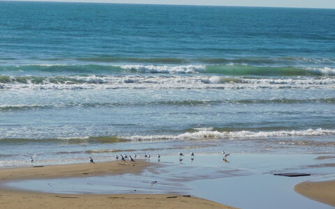Villa Lina: Bleu, Ressources En Eau, L'Eau, Jour, Plage, Plan D'Eau, Environnement Naturel, Vague, Mer