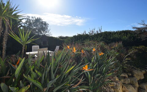Punta Braccetto Fronte Mare: Jardin, Aménagement Paysager, Jardin Botanique