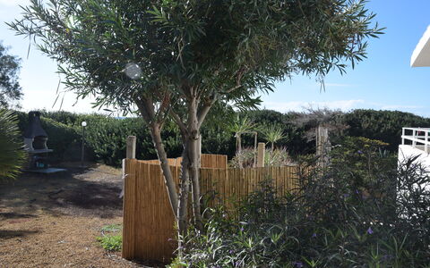 Punta Braccetto Fronte Mare: Arbuste, Suppression Des Plantes Ligneuses, Jardin, Aménagement Paysager, Cour, Arrière-Cour, Clôture