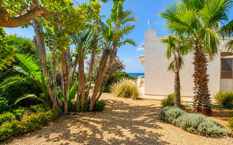 Punta Braccetto Fronte Mare: Vert, Végétation, Arbuste, Paysage, Jardin, Aménagement Paysager, Passerelle, Ombre