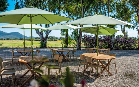 Grosseto 830: Meubles, Parapluie, Mobilier De Jardin, Tableau De Plein Air, Table, Ombre, Chaise, Jardin, Table Cuisine Et Salle A Manger, Pelouse