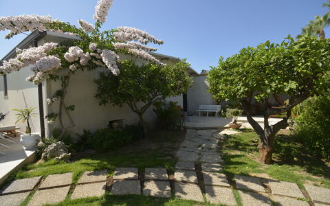 Villa Benvenuti al Sud: Jardin, Ombre, Arrière-Cour, Aménagement Paysager, Cour, Dalle, Passerelle, Cour, Structure En Plein Air