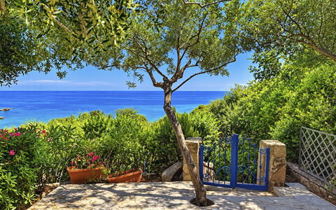 Porto Luna 1: Bleu, Vert, Mer, Cotiers Et Relief Océaniques, Océan, Côte, Tropiques, Ombre, Jardin, Rive