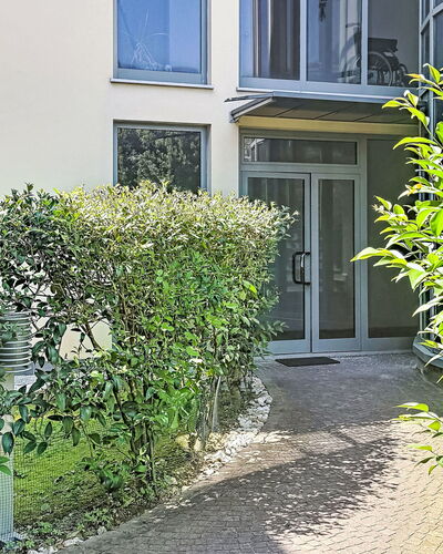 Nala: Arbuste, Design Urbain, Jardin, Haie, Ombre, Cour, Aménagement Paysager, Arrière-Cour, Cour