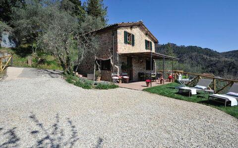 Oliveta: Zone Rurale, Chalet, Village, Ferme, Village De Montagne, Allée, Villa, Arrière-Cour