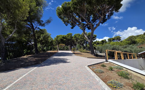 Villa Pineta della Rovere: Arbre, Espace Public, Passerelle, Pente, Ombre, Aménagement Paysager, Allée, Chemin, Escaliers, Piste