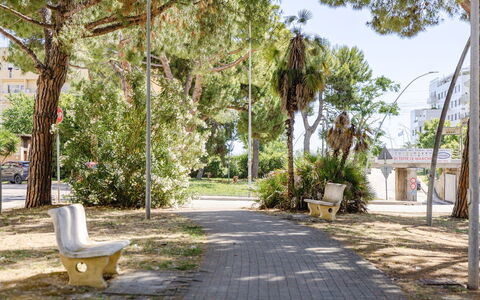 Casabianca: Arbre, Branche, Espace Public, Ombre, Tronc, Suppression Des Plantes Ligneuses, Extérieur Banc, Banc, Trottoir