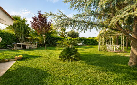 Villa Cigno Reale: Herbe, Arbre, Vert, Feuille, Végétation, Jardin, Arbuste, Paysage, Pelouse