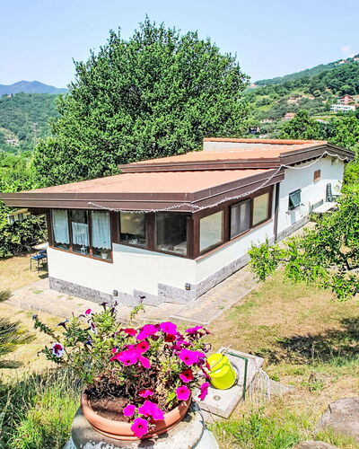 La Casa di Menny: Meubles, Mobilier De Jardin, Chaise, Jardin, Tache De Bois, Pelouse, Dur, Ombre, Arrière-Cour