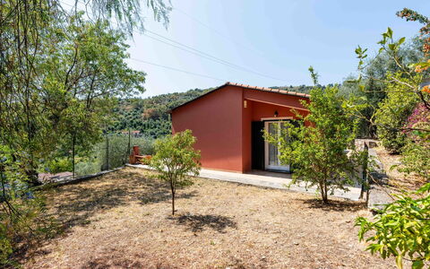 Orto di Silvia: Feuille, Paysage, Lot Terre, Zone Rurale, Pente, Ombre, Batiments Jardin, Ferme