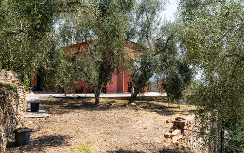 Orto di Silvia: Arbre, Feuille, Branche, Établissements Humains, Tronc, Suppression Des Plantes Ligneuses, Brindille, Ombre, Arrière-Cour, Cour