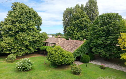 Villa Dorina: Arbre, Feuille, Herbe, Vert, Arbuste, Maison, Paysage, Pelouse, Domicile
