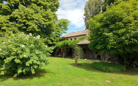 Villa Dorina: Arbre, Feuille, Arbuste, Pelouse, Jardin, Chalet, Biens, Arrière-Cour, Ferme