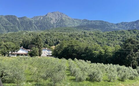 Aura: Montagnes Relief, Montagne, Colline, Végétation, Montagnes, Station De Montagne, Chaîne De Montagnes, Paysage, Communauté Des Plantes, Écorégion