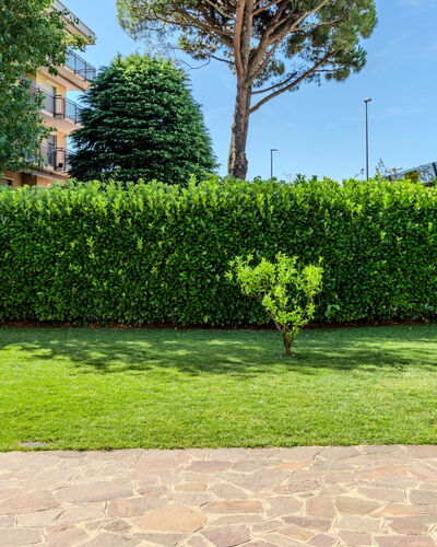 Villa Giulia: Vert, Arbuste, Haie, Jardin, Couverture De Sol, Pelouse, Aménagement Paysager, Ombre, Passerelle, Gazon Artificiel