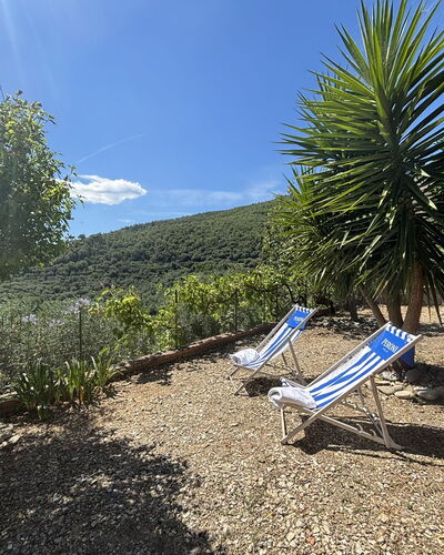 Il Fienile, Garden and Peacefull View: Arbuste, Jardin, Pot De Fleur, Aménagement Paysager, Ombre, Jardin Botanique, Mobilier De Jardin, Passerelle, Eco Hôtel