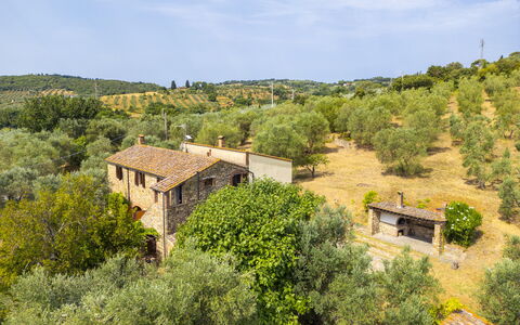 Casale delle Lupe, Campiglia Marittima: Herbe, Arbre, Arbuste, Zone Rurale, Communauté Des Plantes, Lot Terre, Biens, Chalet, Village